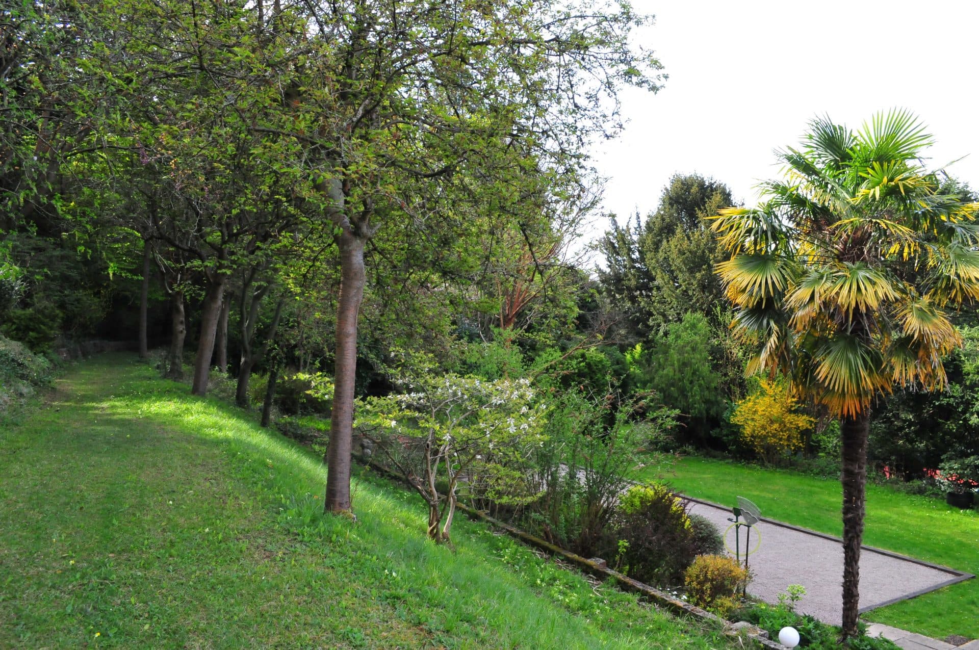 Woodland Boundary