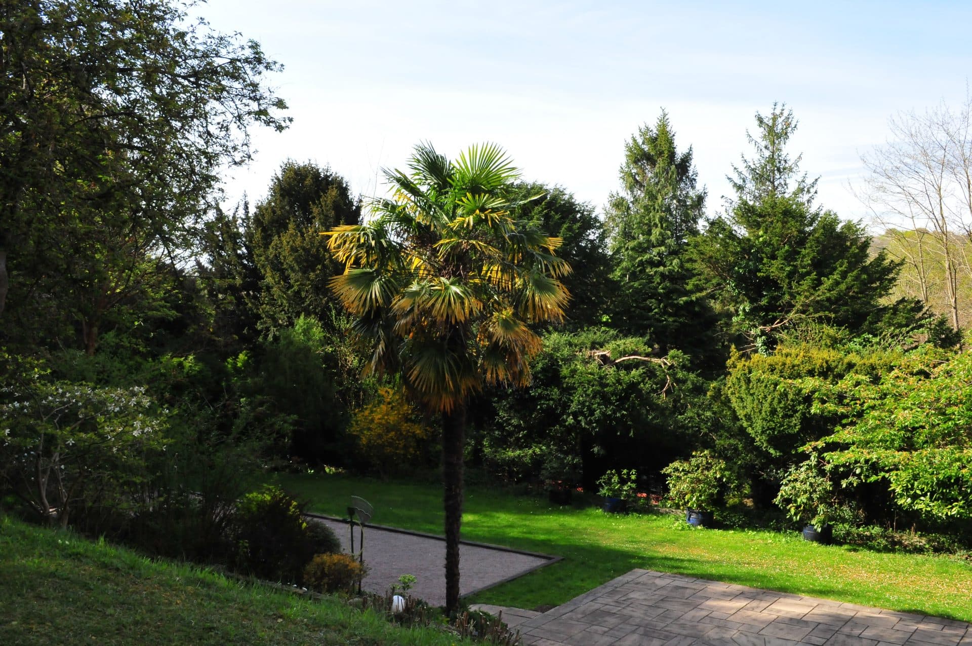 Peaceful Gazebo